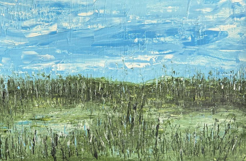 Abstract meadow of tall dark green and white grasses under a blue sky with scraped white clouds.